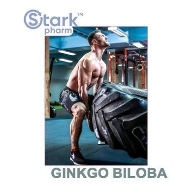 Гинкго Билоба Stark Pharm Ginkgo Biloba Extract 40 мг 200 таб