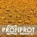 Витамин B9 Фолиевая кислота PROFIPROT 100 г
