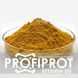 Витамин B9 Фолиевая кислота PROFIPROT 100 г