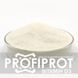 Вітамін D3 Холекальциферол PROFIPROT 1 кг