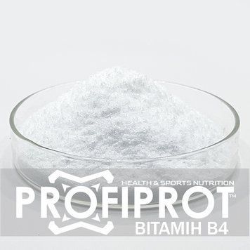 Витамин B4 Холин тартрат PROFIPROT 100 г