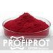 Хром Піколінат PROFIPROT 1 кг