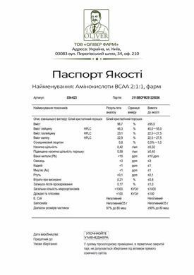 IBCAA 2:1:1 Инстант PROFIPROT 100 г | со вкусом