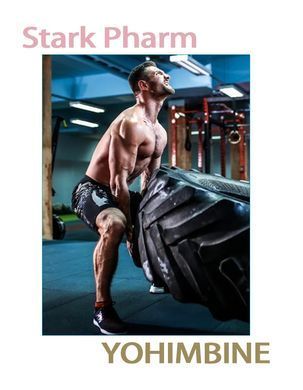 Йохімбе Stark Pharm Yohimbine 100 таб