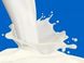 Сухое обезжиренное молоко 32%, 1кг