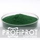 Спіруліна PROFIPROT 500 г