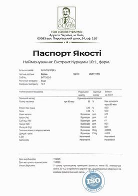 Куркумин 10:1 PROFIPROT 100 г
