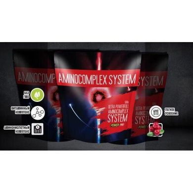 Аминокислоты Power Pro Aminocomplex system, клюква 0,5кг