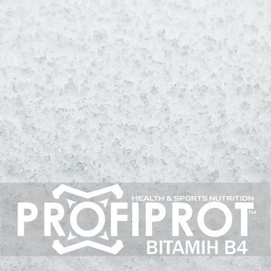 Вітамін B4 Холін тартрат PROFIPROT 1 кг