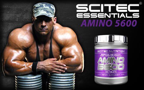 Аминокомплекс Amino 5600 Scitec Nutrition 200 таб