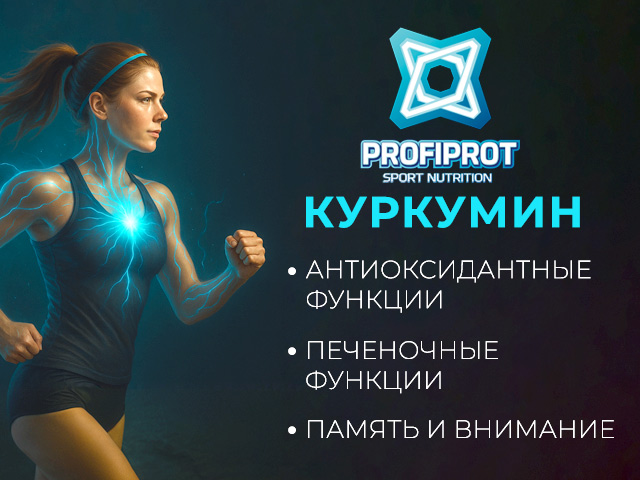 порошок куркумина