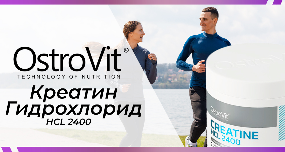 Спортивное питание Gym-Gym.pro